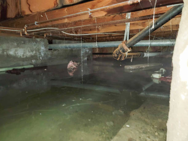 Kitchen cabinet and island dryout following dishwasher leak